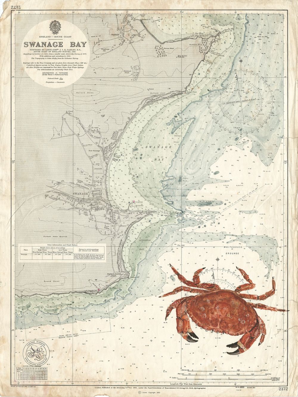 Crabe dans la baie de Swanage