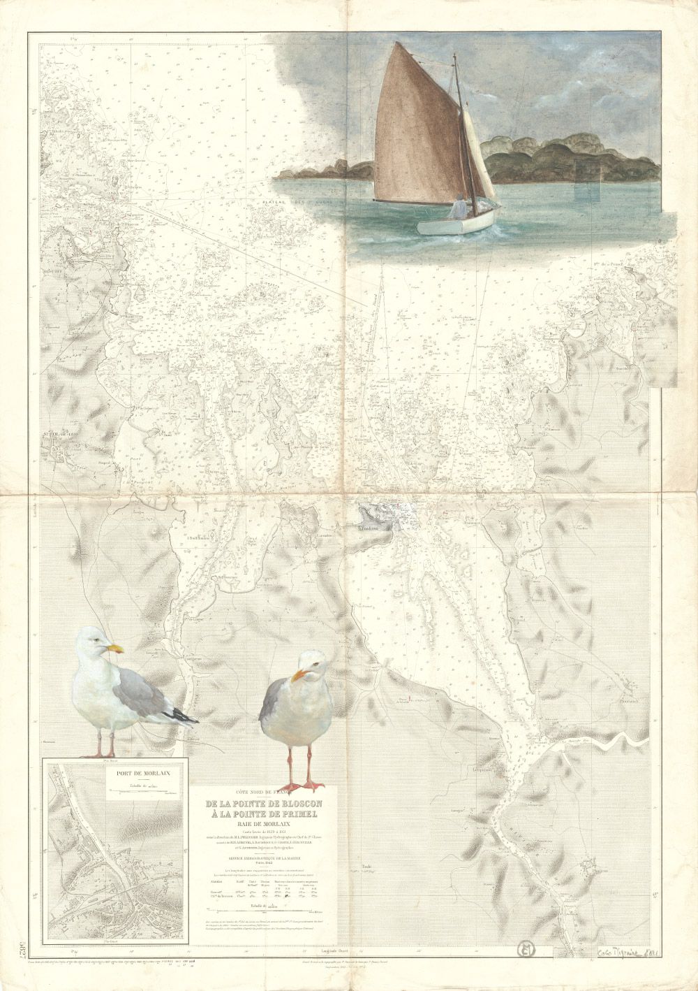 goéland et voilier dans la baie de Morlaix