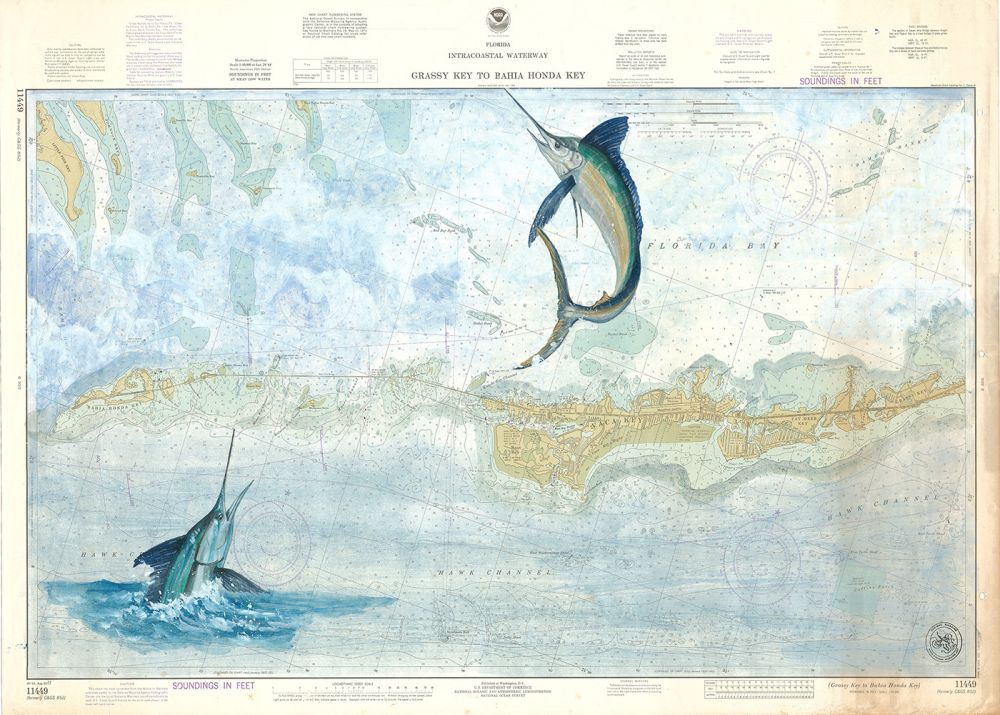 Grassy Key to Bahia Honda Key et Marlin bleu