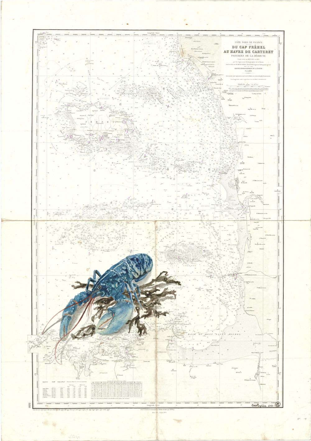 Homard du passage de la déroute