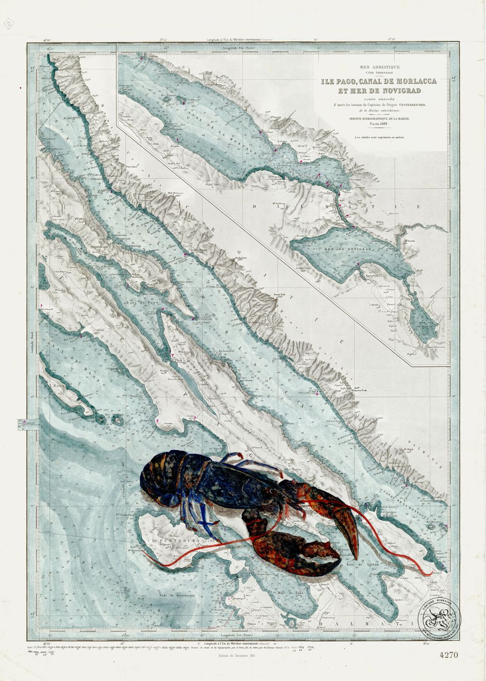 Homard en Croatie