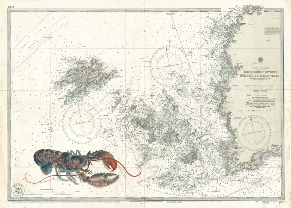 Homard sur les îles Anglos Normandes