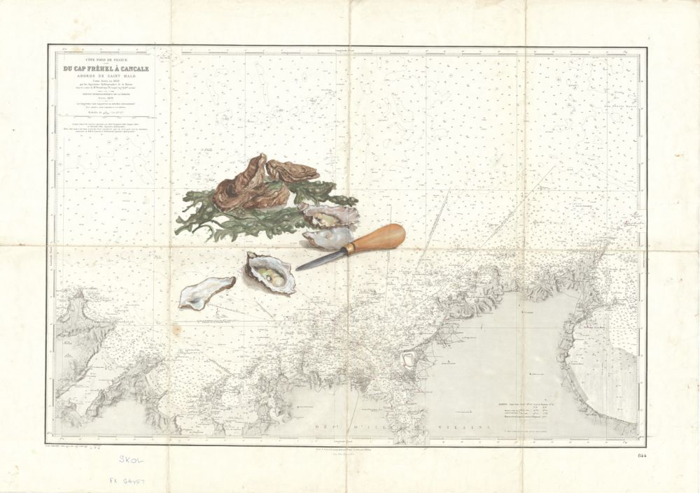 huitre et couteau à cancale