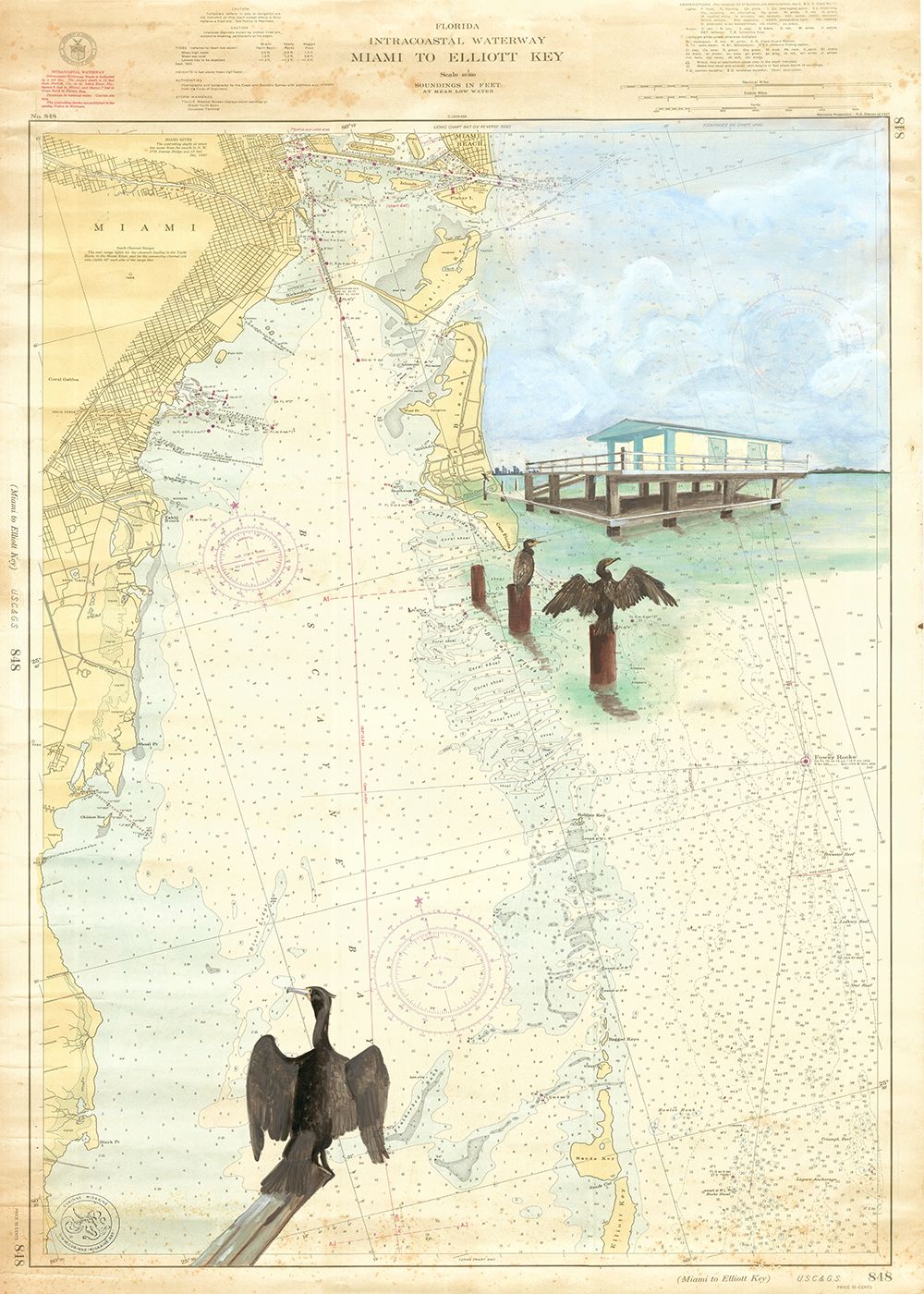Maison sur pilotis  et Cormoran , Biscayne bay Florida