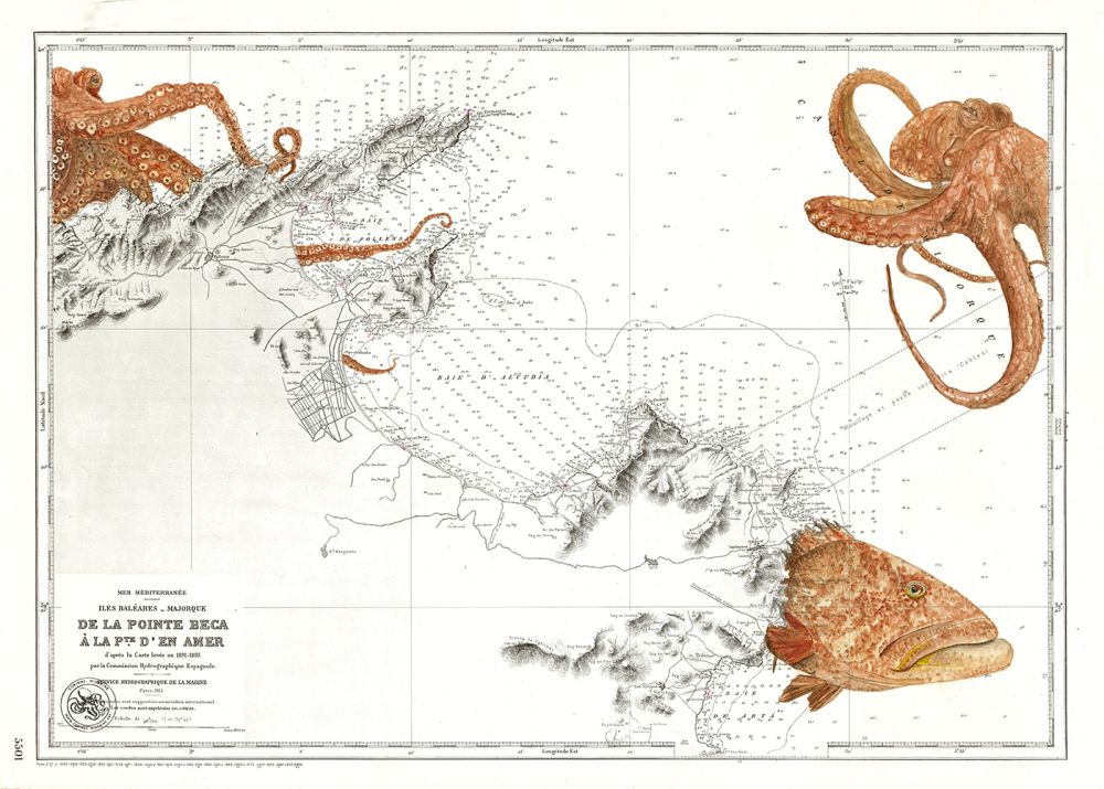 Mérou et Poulpe à Majorque