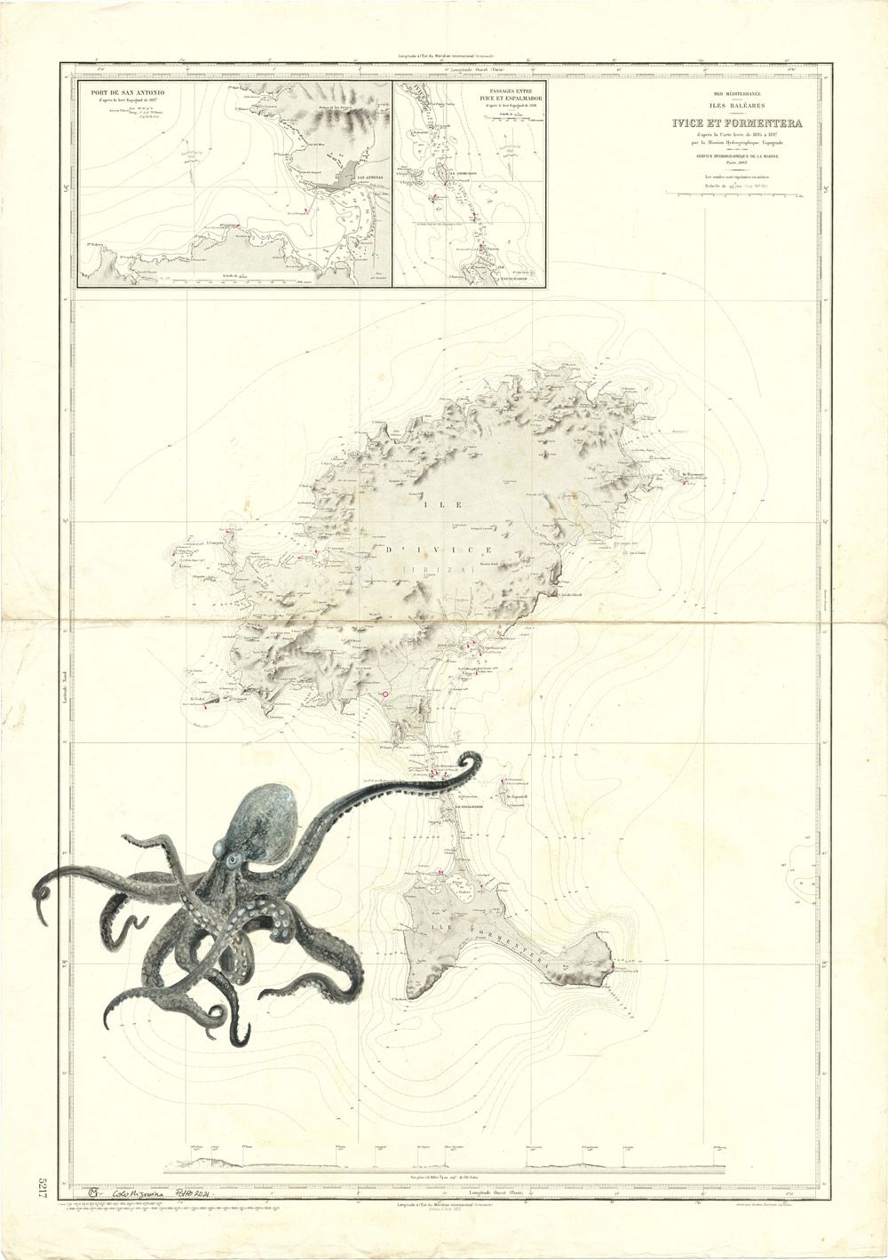 poulpe des baleares